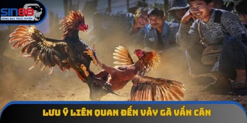 Lưu ý quan trọng liên quan đến vảy vấn cán